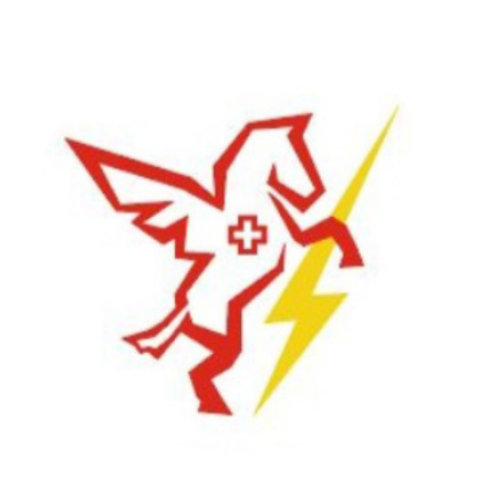 Pegaso Logo